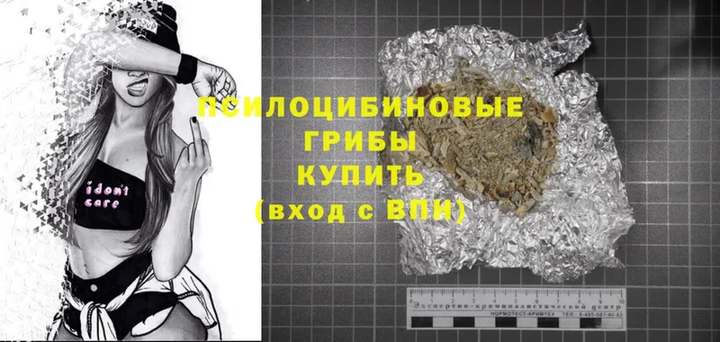 Галлюциногенные грибы Cubensis  Вяземский 